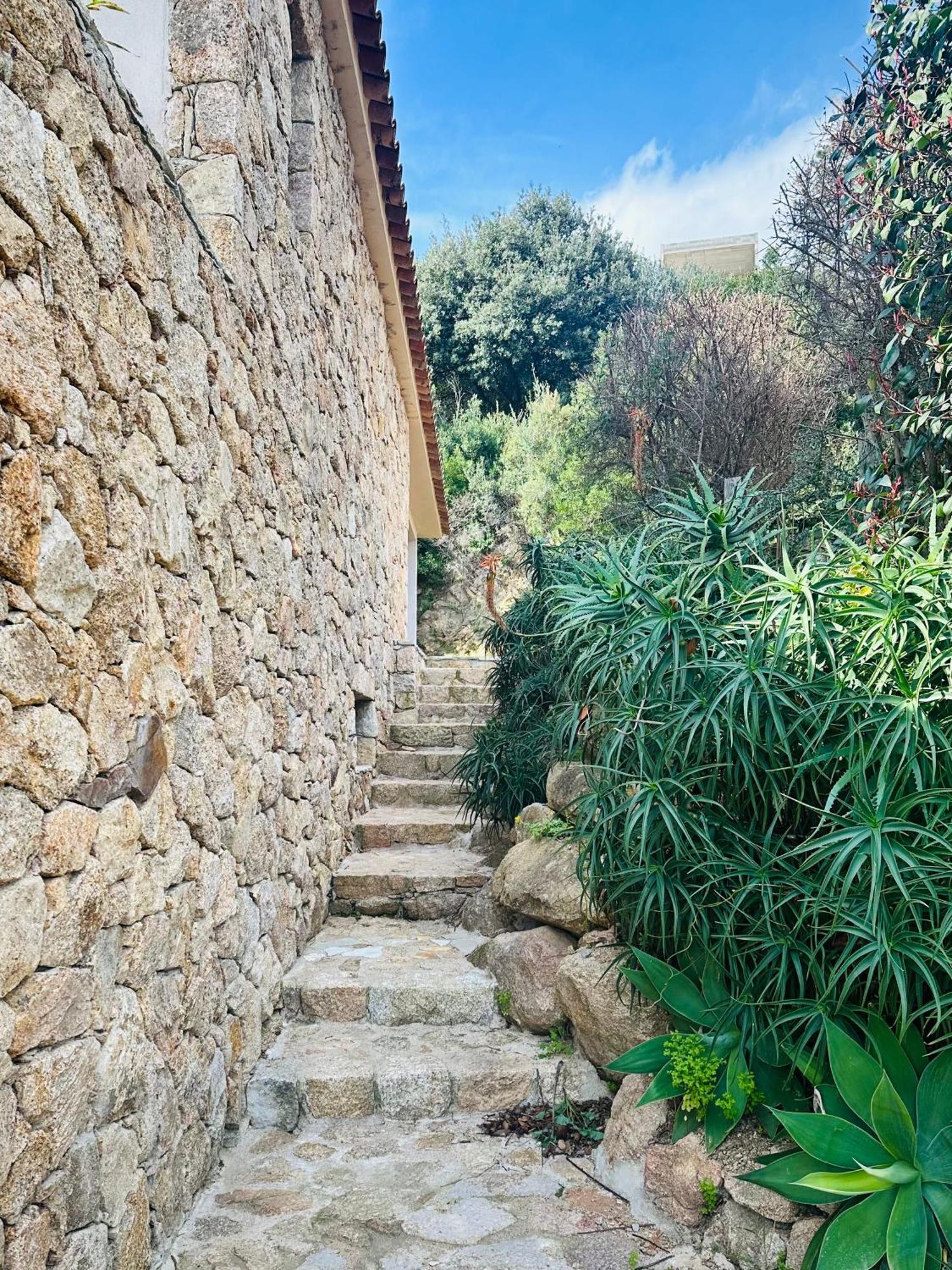 Vue Panoramique Proche Porto-Vecchio Vista Corsica Bed and Breakfast Sotta Esterno foto